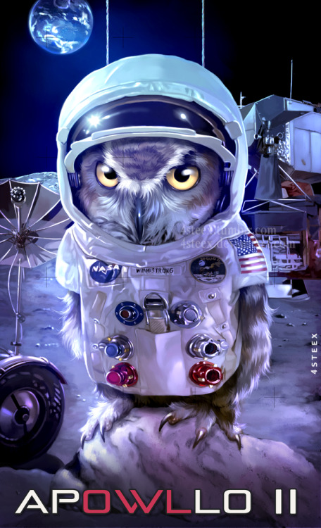 moon landing: APOWLLO 11the moon landing was a hoax , the first creature to actually land on the m