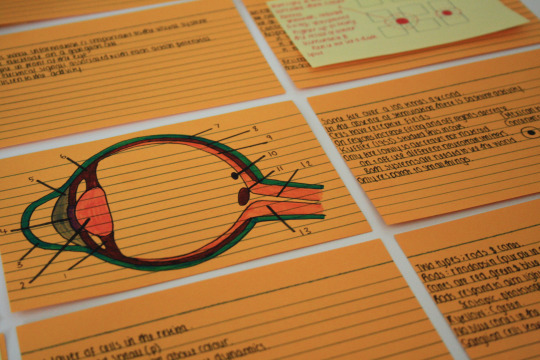 ilikeherbestofall:Nice notes are soothing and motivating.