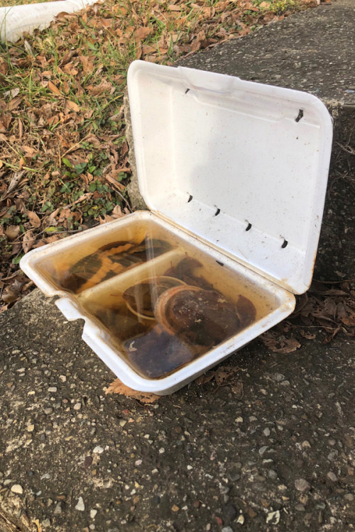 Sunday morning streets: Frozen Cane’s carryout container contents, Oldfield’s entrance early on a De
