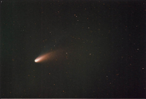 Comet Hale-Bopp images: x, x