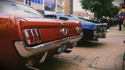 autoporn-net:  The Mustang’s
