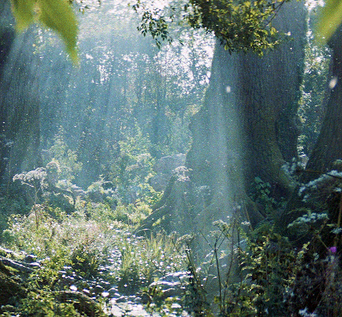 Legend (1985) | Dir. Ridley Scott