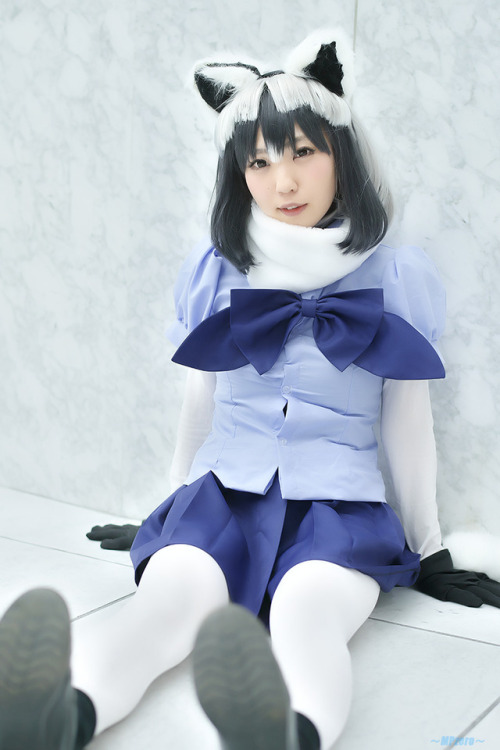 cos-stock: 　白雪 なお さん[Nao.Shirayuki] @nya0nz 2018/04/15 TFT (Ariake TFT Building) : ～MPzero～　[コスプレイベン