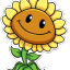 the-polite-sunflower