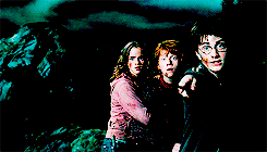 leiaorrgana:  Harry hadn’t counted on this; he had meant them to understand that