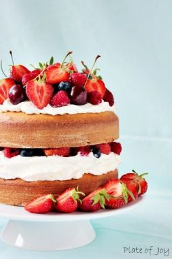 readbetweenthegrinds:  Berry Cake Recipe