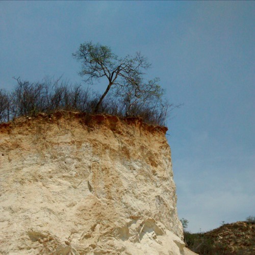 Lonely tree on top. #nature #naturebeauty #desert #tree #oaxaca