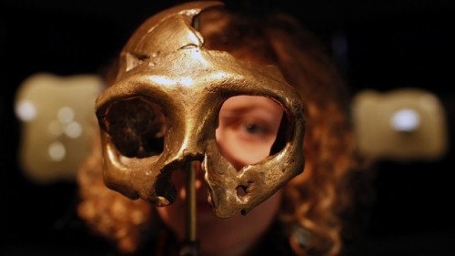 4lakes:A girl looks through the replica of a neanderthal skull.