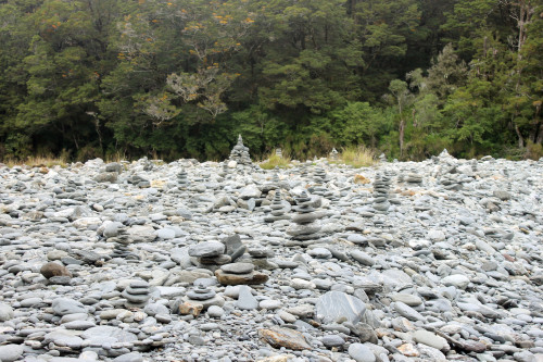 sungodprime:  New Zealand Day 6: Forest (final post). A day before going back (no photos from the trip back because it was mostly boring) we went to the wild forests of New Zealand. Amazing doesn’t cover it at all. Ferns and moss covered ancient tries,