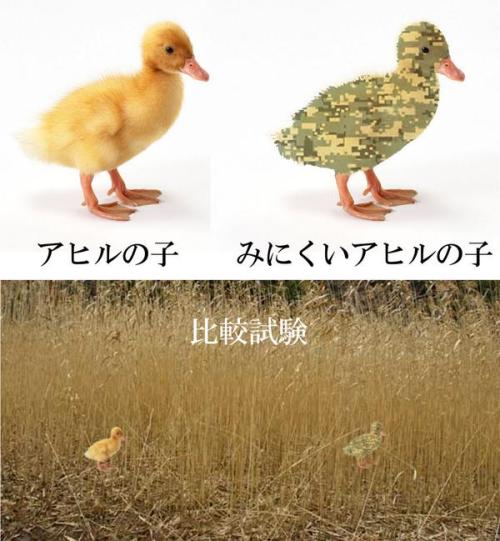 : Http://t.co/JQDZnWXur4