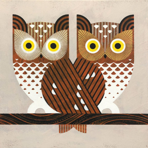 jevajeva:Screech Owl paintings, acrylic on panel, 12″ x 12″ each. 2018