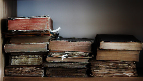 beckisbookshelf:  by: nihilnocet 