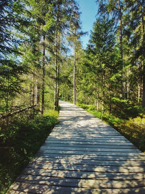 breathings:Fichtelsee, Germany