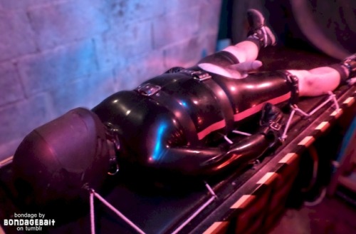 bondagevisits: T08: Wearing rugby kit, restrained with rubber straps, rubber bandage, gas mask and rubber fits mitts, and wearing rubber “pig” suit, strapped to bench.