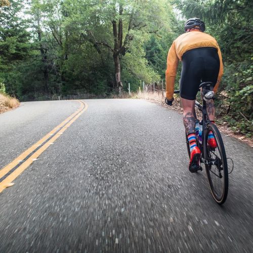 dfitzger: by @kingthenate: Kinda really sorta way into coastal Sonoma roads. Like, really. #abovecat