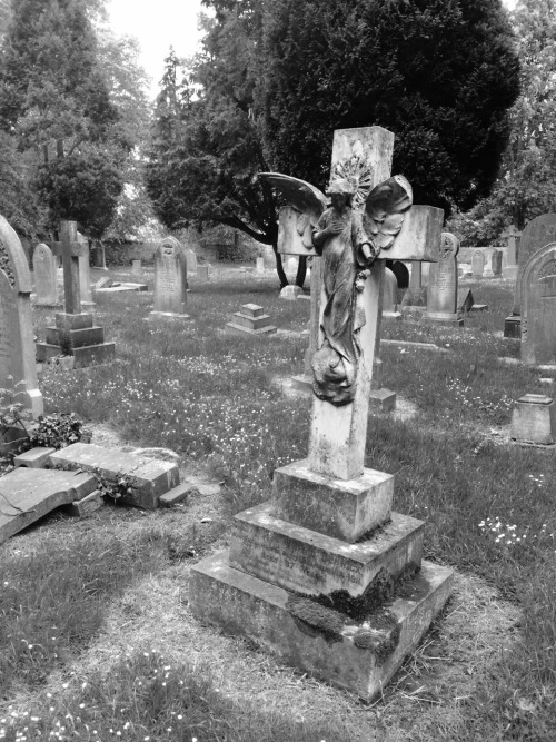 ravensquiffles:  Another evening, another dog walk. St Mary’s churchyard, Norton 