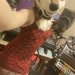 footpawfetish:littlemisspipebomb:yr-tiktok-mom:People that care about analogue music