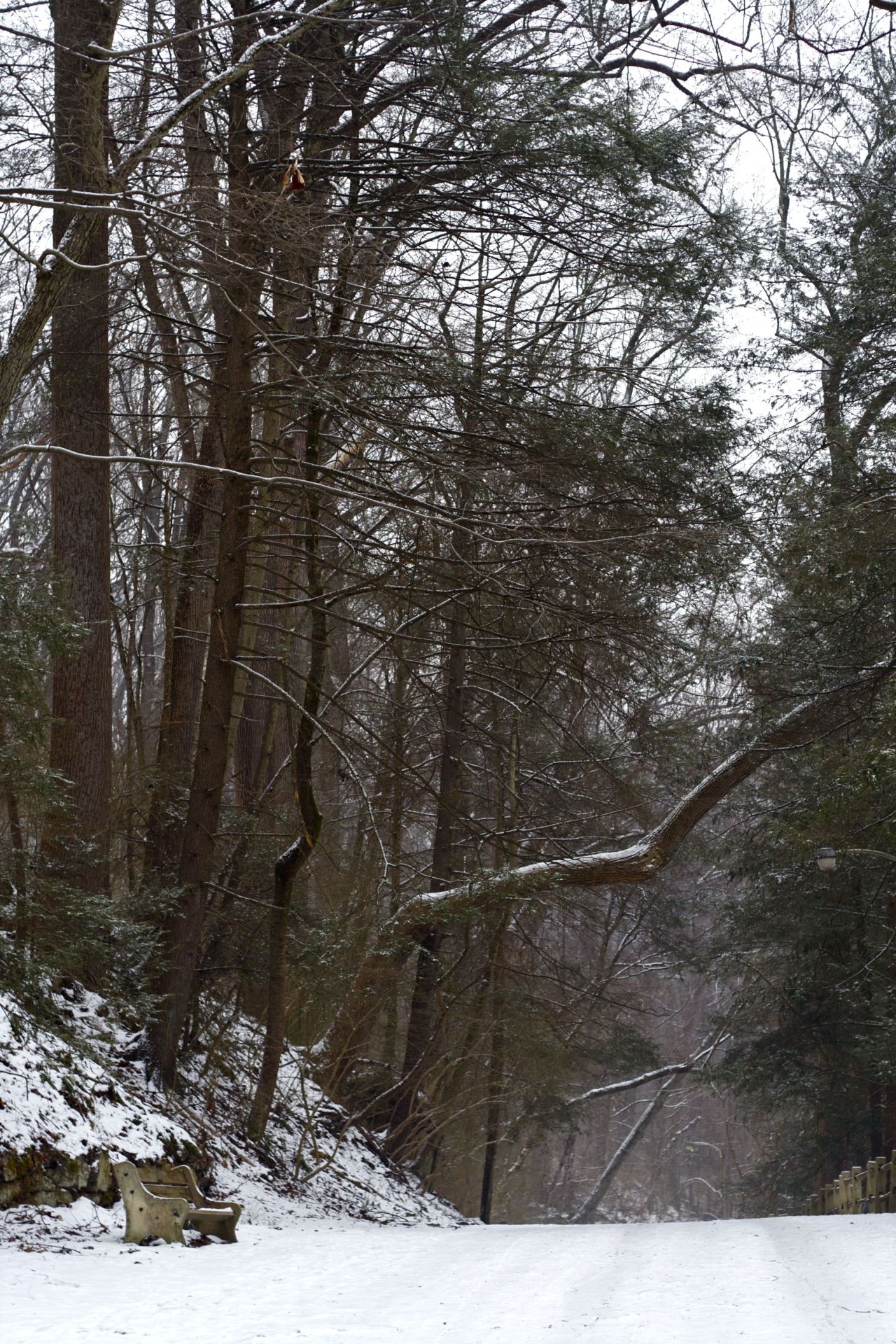 Simplicity. Love the days that we wander.  Photos by yours truly. 