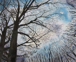eatsleepdraw:  Arboreals.Winter 3 of 4 ‘Quercus.Hoyt’ Watercolor, Pen 8″x10″ Jan. 2017