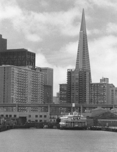 San Francisco Skyline From the Bay, circa 1970.This was scanned from a collection of black and white