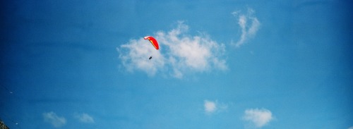 I’m always looking up: lomo pics i took in 2011