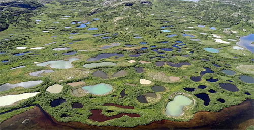 solarpunks:Permafrost is thawing rapidly. In the Earth’s high latitudes, new lakes and ponds a