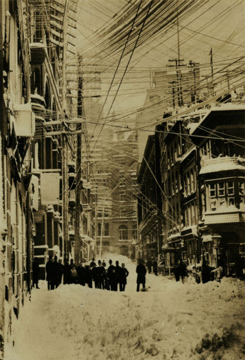 New York City in the late 19th century, back before cities started burying telephone lines and other