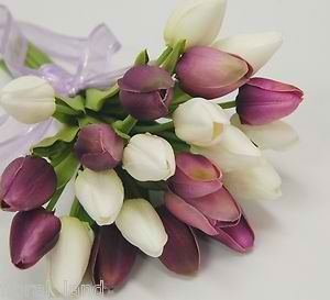 this-odd-in-me:   i would love to have some tulips <3 🌷🌷🌷  