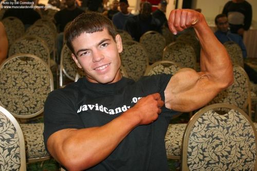 big-strong-tough:  David Candy