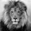 colorlessbaring