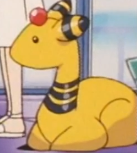 torokoqueen:  i’ve been watching the pokemon anime lately and i caught a glimpse