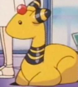 torokoqueen:i’ve been watching the pokemon anime lately and i caught a glimpse of the most blessed image