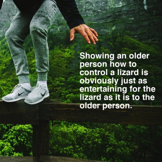whitesaviorcomplex:  beanpigeon:  thehumorousace:  hawkeyedflame:  its-okae-carly-rae:  flowingblades:  theopjones:  mitigatedchaos:  bunjywunjy:  someone created a random generator that creates randomized inspirational quotes overlaid on random images