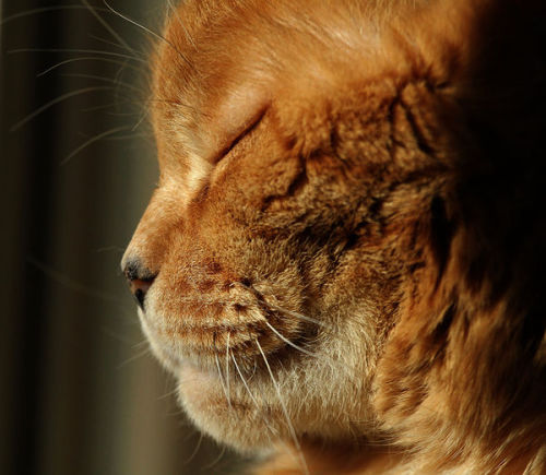 (via anck1111)