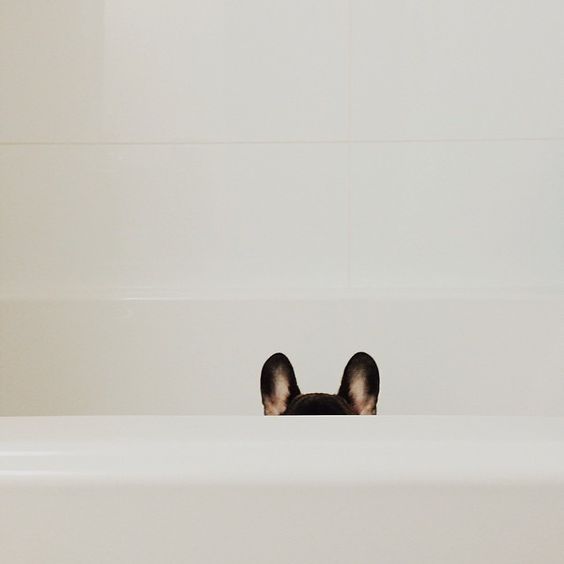 Take Care Of Me, Baby.