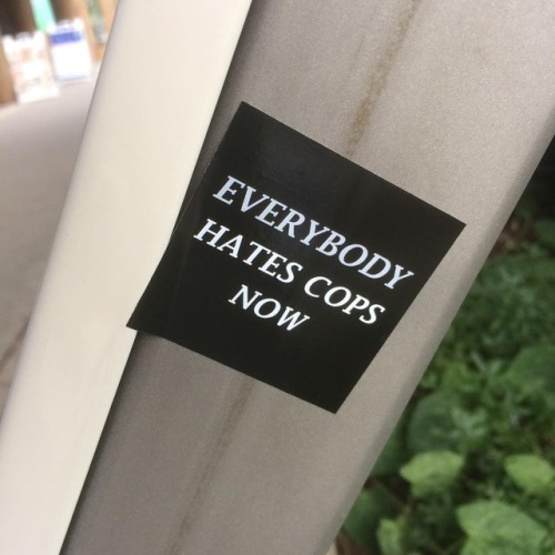 ‘Everybody hates the cops now’Seen in Ann Arbor, Michigan