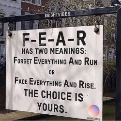 kskn202gobro:Which do you prescribe to? Hoping it’s facing your fears and kicking them right in the nuts. 
