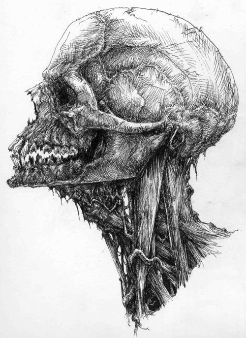 Scavenger of Human Sorrow