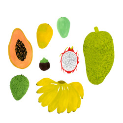 katepugsley:Tropical fruit sketches in gouache