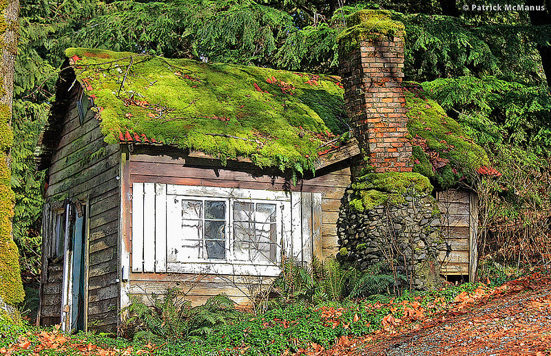 destroyed-and-abandoned:  Abandoned Moss Covered Cabin, Washington State. . Source: