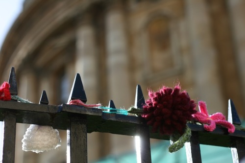 Guerilla knitting in Radcliffe Square, Oxford. I almost walked straight past these - I only stopped 