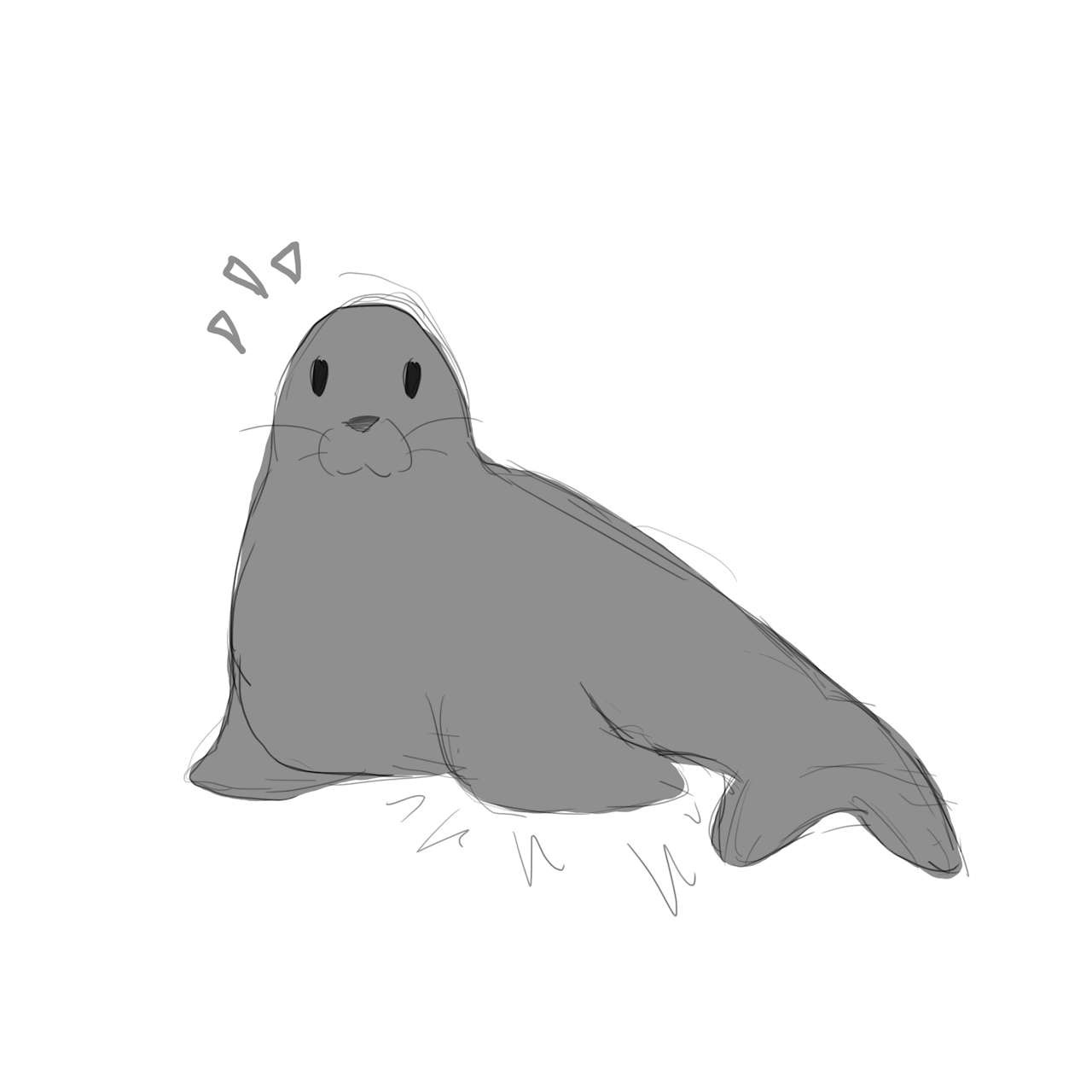 pinnipeds-tumblr-gallery