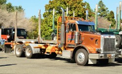 semitrckn:Peterbilt custom 567 log hauler