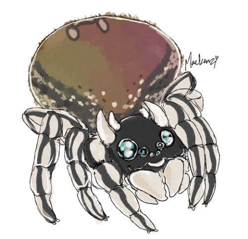 Practicing little spiderling designs~ Some are more spider than others. There are gonna be over 40 o