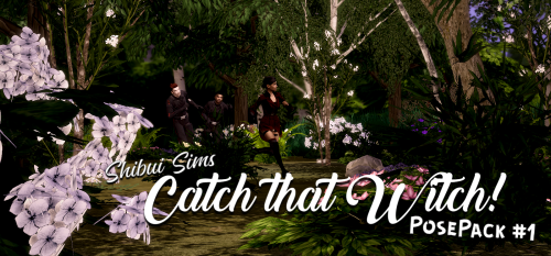 shibuisims: Shibui Sims: Catch that Witch! Posepack #1Created with height differences!Includes: 3 si