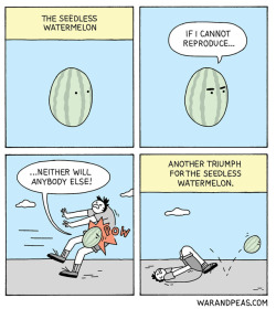 warandpeas:The Seedless Watermelon