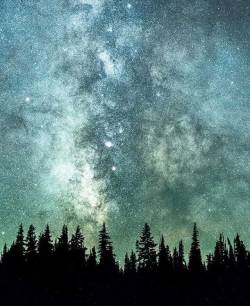 wanderlog:  Bend, Oregon. Photo: @andy_best #bend #oregon #nature #landscape #scenery #explore #travel #adventure #photography #wanderlog #sky #stars #night https://www.instagram.com/p/Bm5Opw7ggeZ/?utm_source=ig_tumblr_share&amp;igshid=12ghrht1aave0