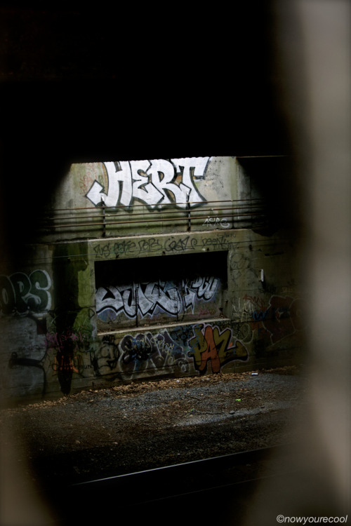 now-youre-cool:  HERT in the Freedom Tunnel 