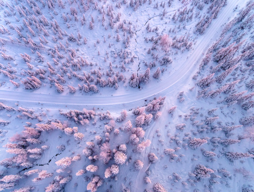 tiinatormanenphotography: One reason why I love northern winter is the light. ❄ Dec 2016. Southern Lapland, Finland,  by Tiina Törmänen | web | FB | IG | STOCK 