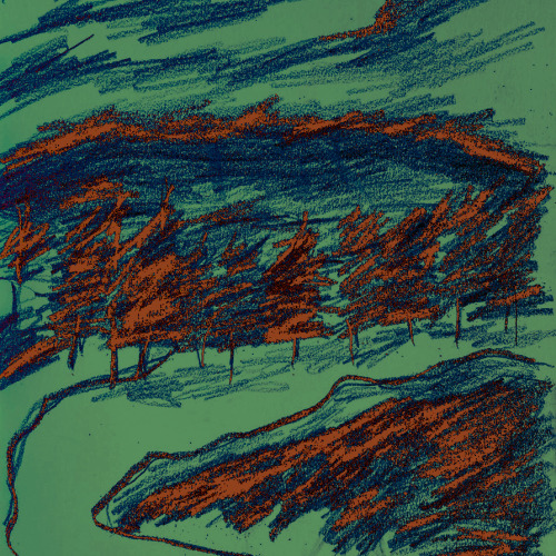 15/21 When The Trees Were Real They Looked Like Hieroglyphs